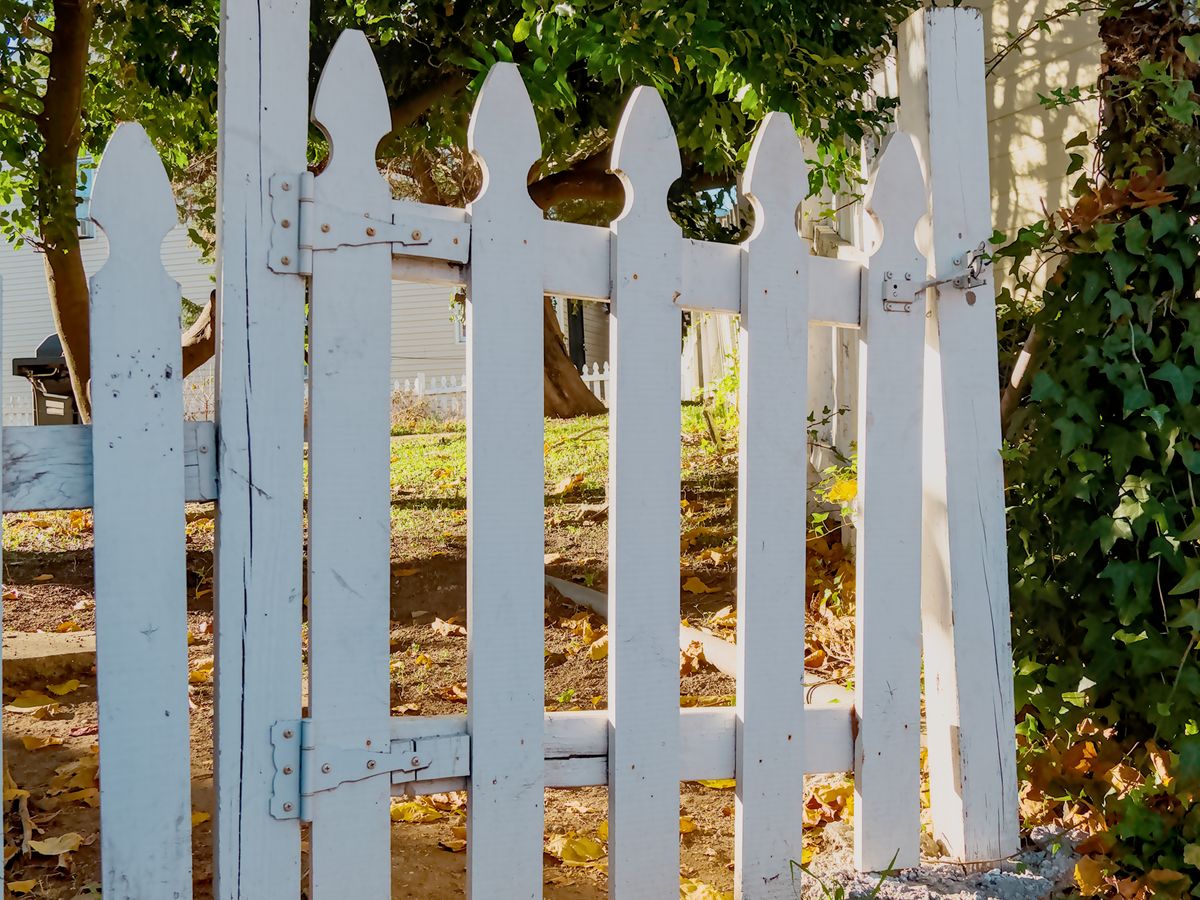 White picket fence and gate in a leafy yard