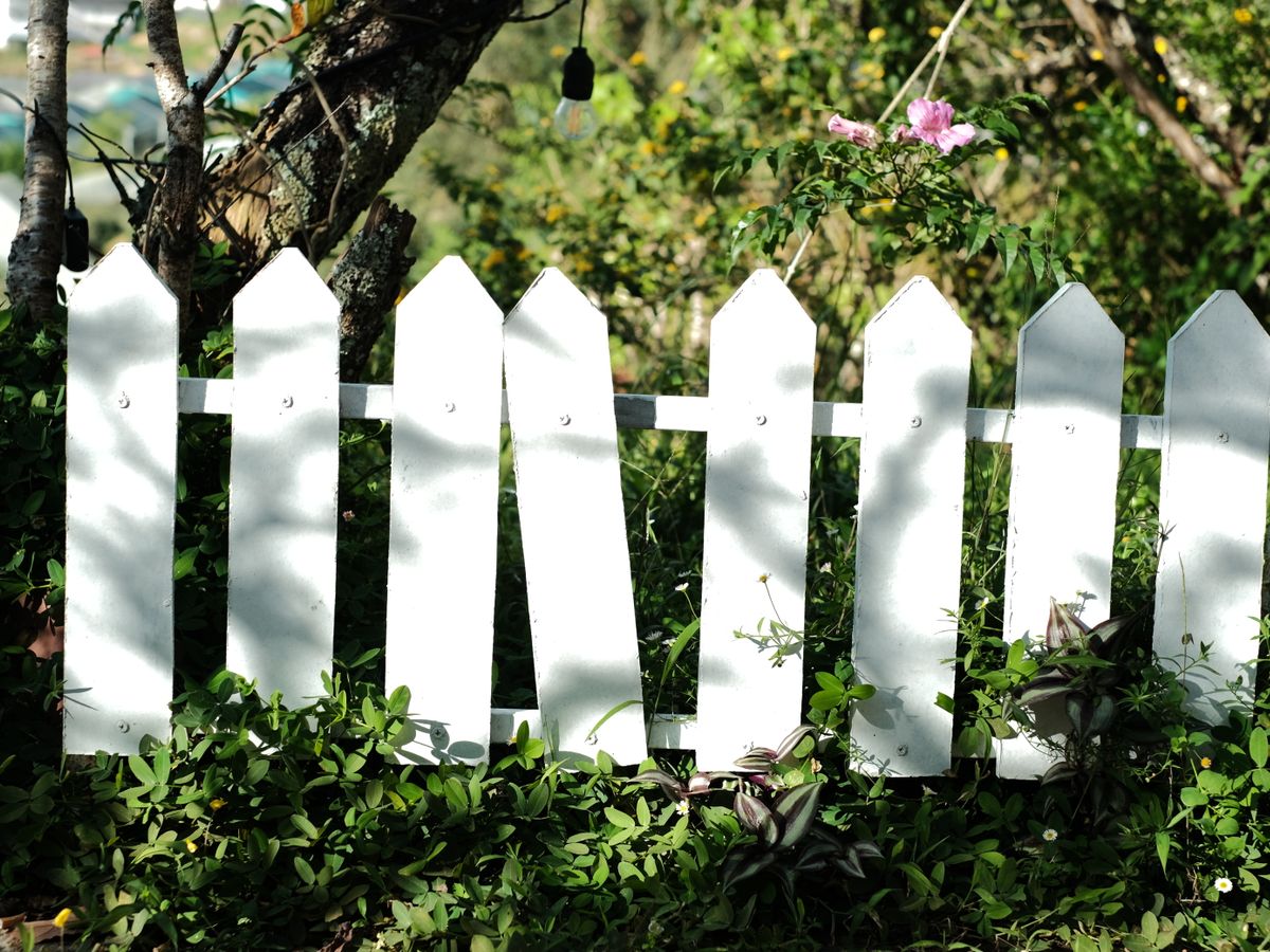 White picket fence surrounded by greenery